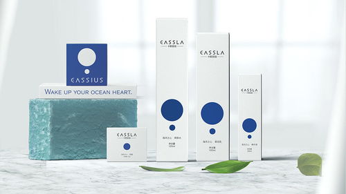 化妆品 品牌设计 产品包装设计 卡斯丽伽 平面 品牌 首诺品牌创意 zcool