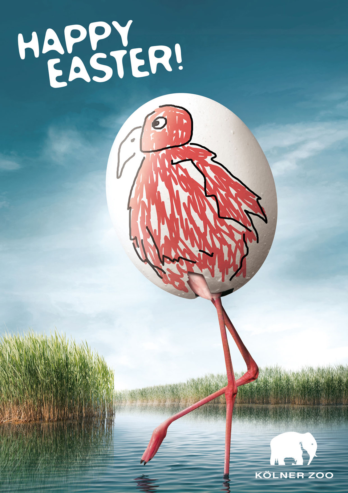 Zoo Cologne科隆动物园快乐复活节彩蛋平面设计 创意与欢乐的视觉盛宴